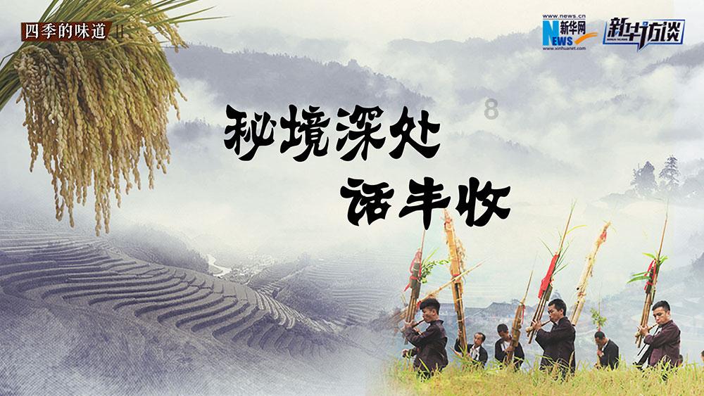 我修的可能是假仙